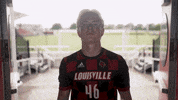 University Of Louisville Go Cards GIF by Louisville Cardinals