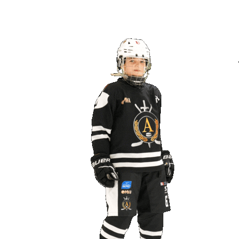 alfahockey giphyupload хоккей хоккеист альфа Sticker