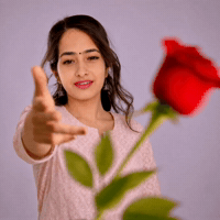 Nobody Is Perfect Rose GIF
