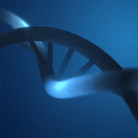 Loop Render GIF by xponentialdesign