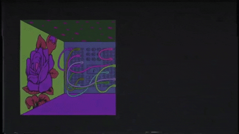 Neverthesame GIF by Polyvinyl Records