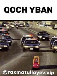 Uzbek Qoch GIF