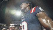 Stefon Diggs Football GIF by New England Patriots