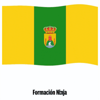 Flag Spain GIF by Formación Ninja