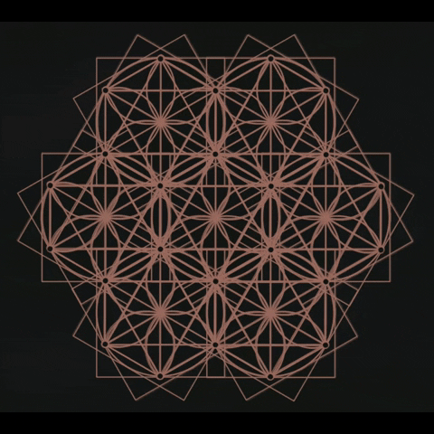 studeii giphyupload GIF
