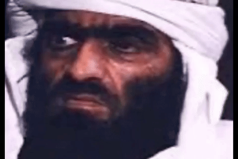 Omid_9976 iran ایران pahlavi پهلوی GIF