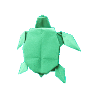 Rua Schildkrote Sticker