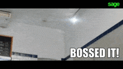 GIF by Mo HQ
