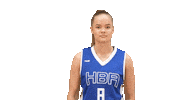 Sport Basketball Sticker by Basket_fi