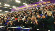 dog GIF by Westminster Kennel Club