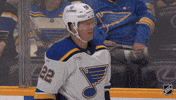 St Louis Blues What GIF by NHL
