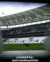 Beşiktaş GIF