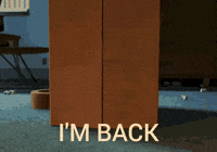 Im Back Toy Story GIF by slicedbread