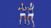 Volleyball GIF by Minas Tênis Clube