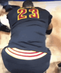 Lebron James Crying GIF