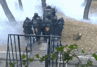 Police Arrest GIF