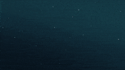Shooting Star Flower GIF by Olivia Lunny