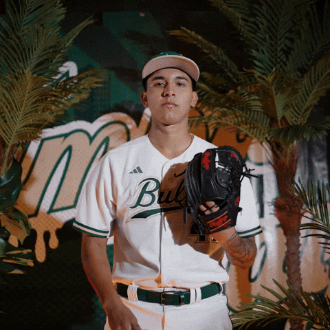 South Florida Baseball GIF by USF Athletics