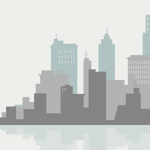 Fly Delivery GIF by Express One