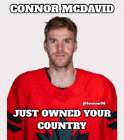 Hockey Nhl GIF