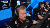 Magisk Celebrate GIF by Astralis