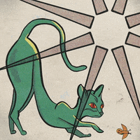 Cat Kitty GIF