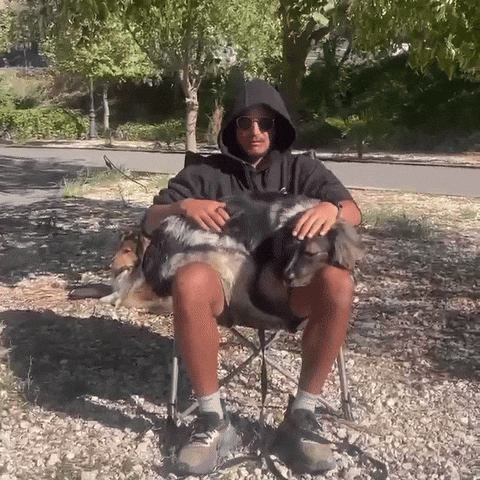 Buddy GIF by The Vanlife Network