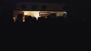 mardi gras beads GIF by Parquet Courts