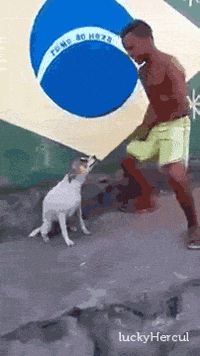 GIF by Demic