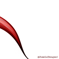 Tornado Pamela Chougne GIF