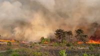 Large Heath Fire Threatens Homes in Poole