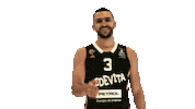 Rokradovic Sticker by kkcedevitaolimpija