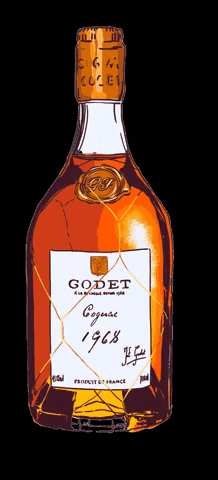 cognacgodet giphygifmaker cognacgodet GIF