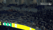 mia GIF by MLB