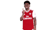 arsenal football soccer celebrate goal Sticker