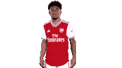 arsenal football soccer celebrate goal Sticker