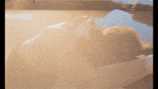 Summer Running GIF by Dreamer Boy