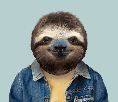 happy ultra cute GIF