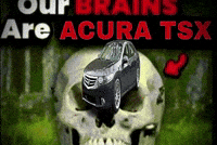 Our Brains GIF