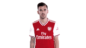 arsenal soccer celebration celebrate goal Sticker