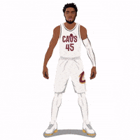 Nba Playoffs Basketball GIF by Panini America