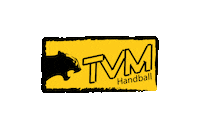 Logo Handball Sticker by TV Merchweiler Panther