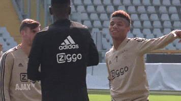 GIF by AFC Ajax