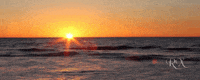 Sun Sunrise GIF