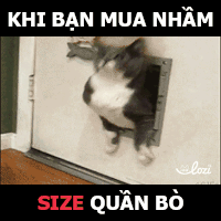 GIF by Lozi Singapore Co.
