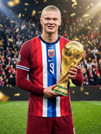 Fifa Wc Norway GIF