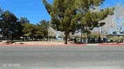 chevrolet chevy GIF by Off The Jacks