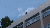 School Shoes GIF
