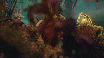 Flower GIF by Michaela Jaé