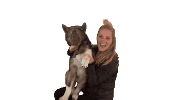sniffdog dog hello cedar dog waving Sticker